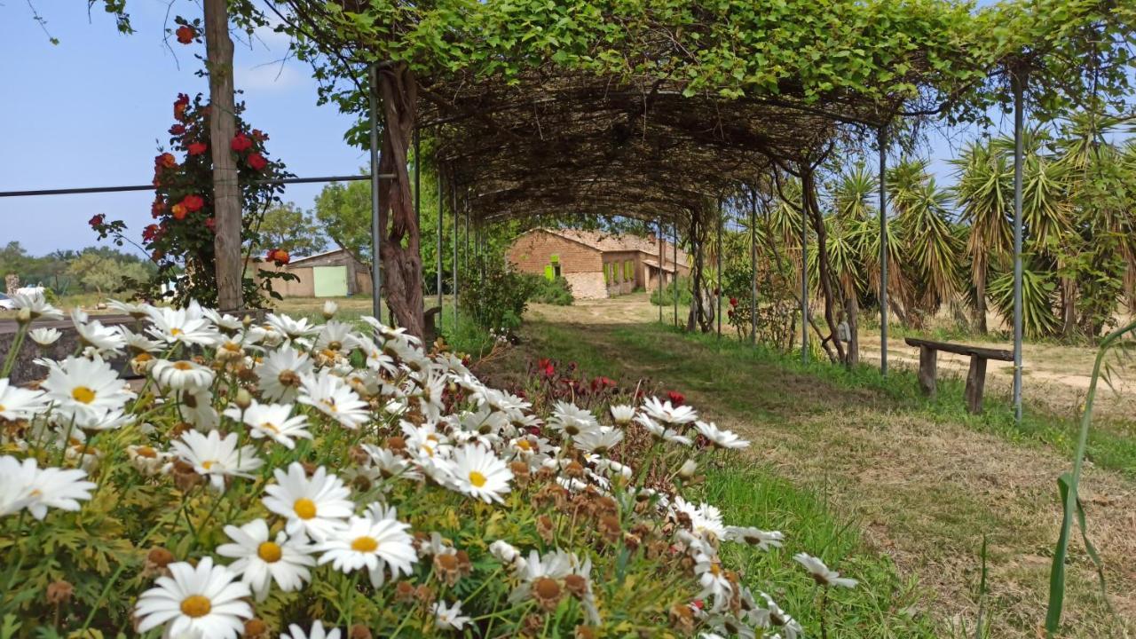 Il Canto Di Kokopelli Country Houses Brattiro 외부 사진